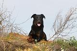 BEAUCERON 328